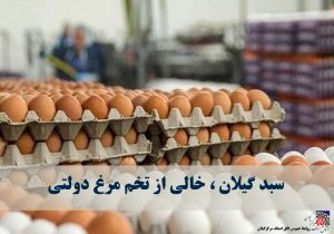 سبد گیلان ، خالی از تخم مرغ دولتی