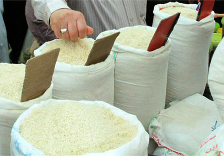 وزیر جهاد کشاورزی: خرید برنج باقیمانده کشاورزان گیلانی آغاز شد
